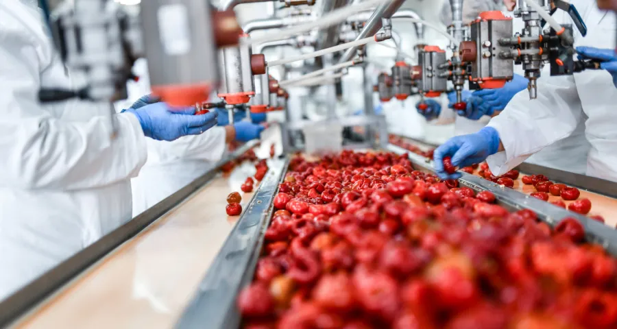 Quality checks on a gummy production line